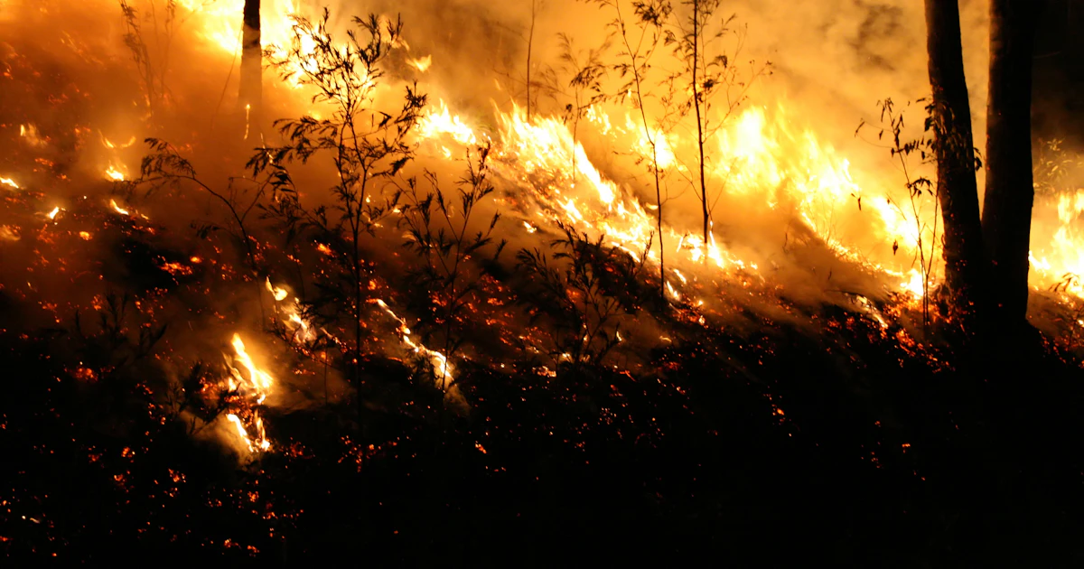 Bushfires Introduction Bushfires Lesson | Geography | AU