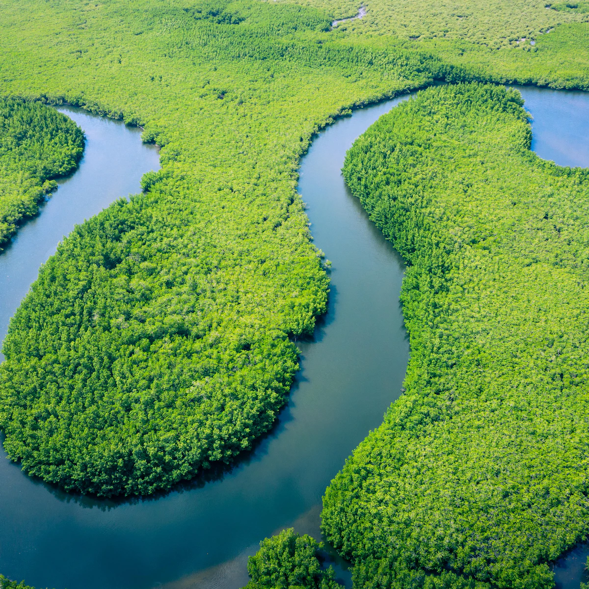 Environmentss The Importance of Environments Unit | Geography | AU