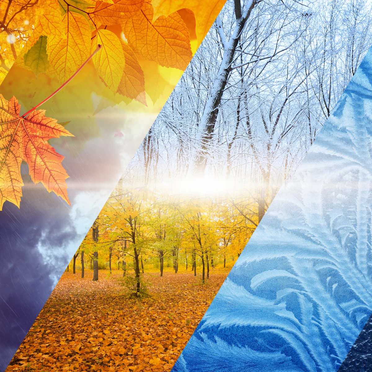 Weather Place Weather in Different Places Unit | Geography | AU