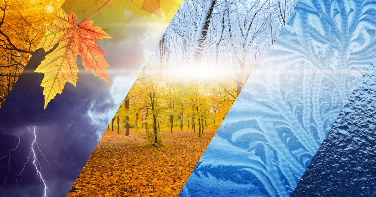 Weather Place Weather in Different Places Unit | Geography | AU