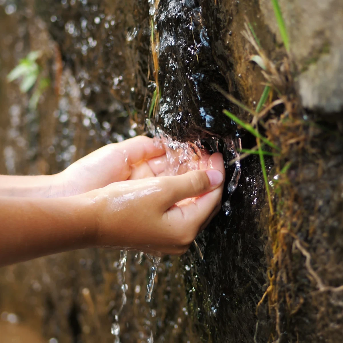 Sources For Getting Water Water Sources Lesson | Science and Technology | AU