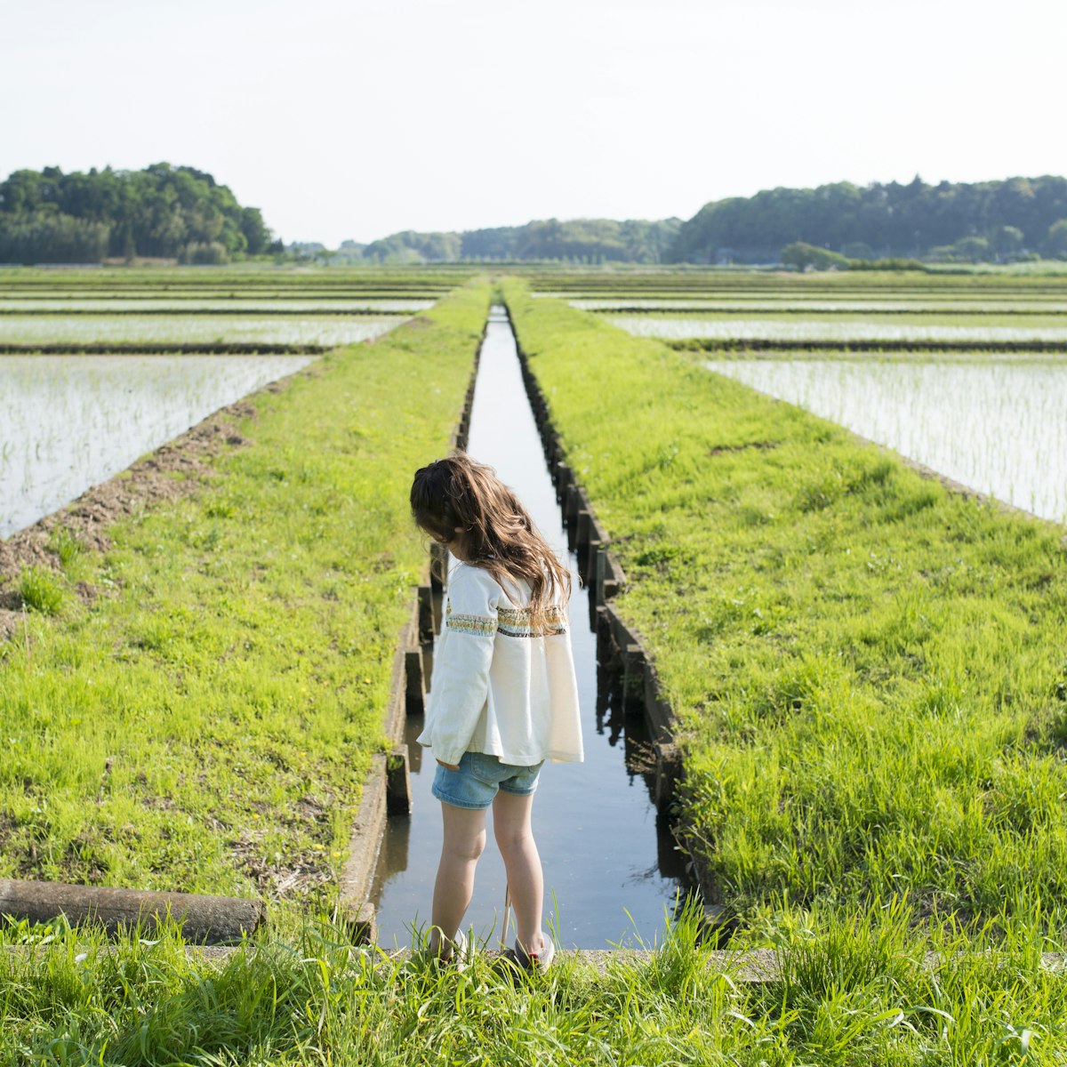 Learning Showcase Lesson | Geography | AU