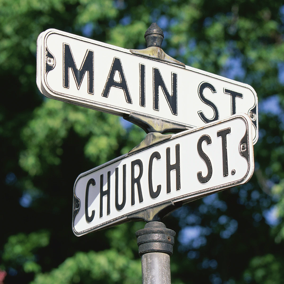 Signs, Signals and Sentences Lesson | English | AU